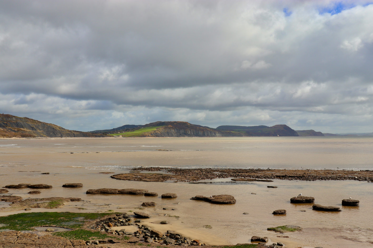 jurassic coastline from lyme regis