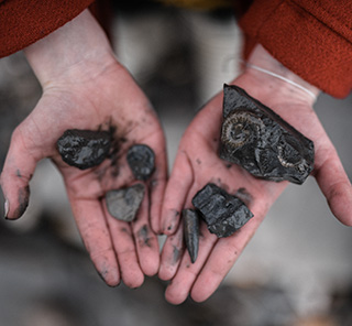 Lyme Regis ammonite fossils found on beach