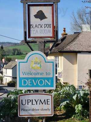 black dog tea room Lyme Regis