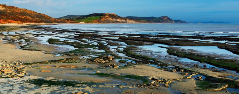 rockpooling Lyme Regis at broad ledge for kids