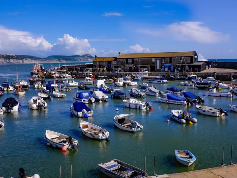 boat trips in Lyme Regis for kids